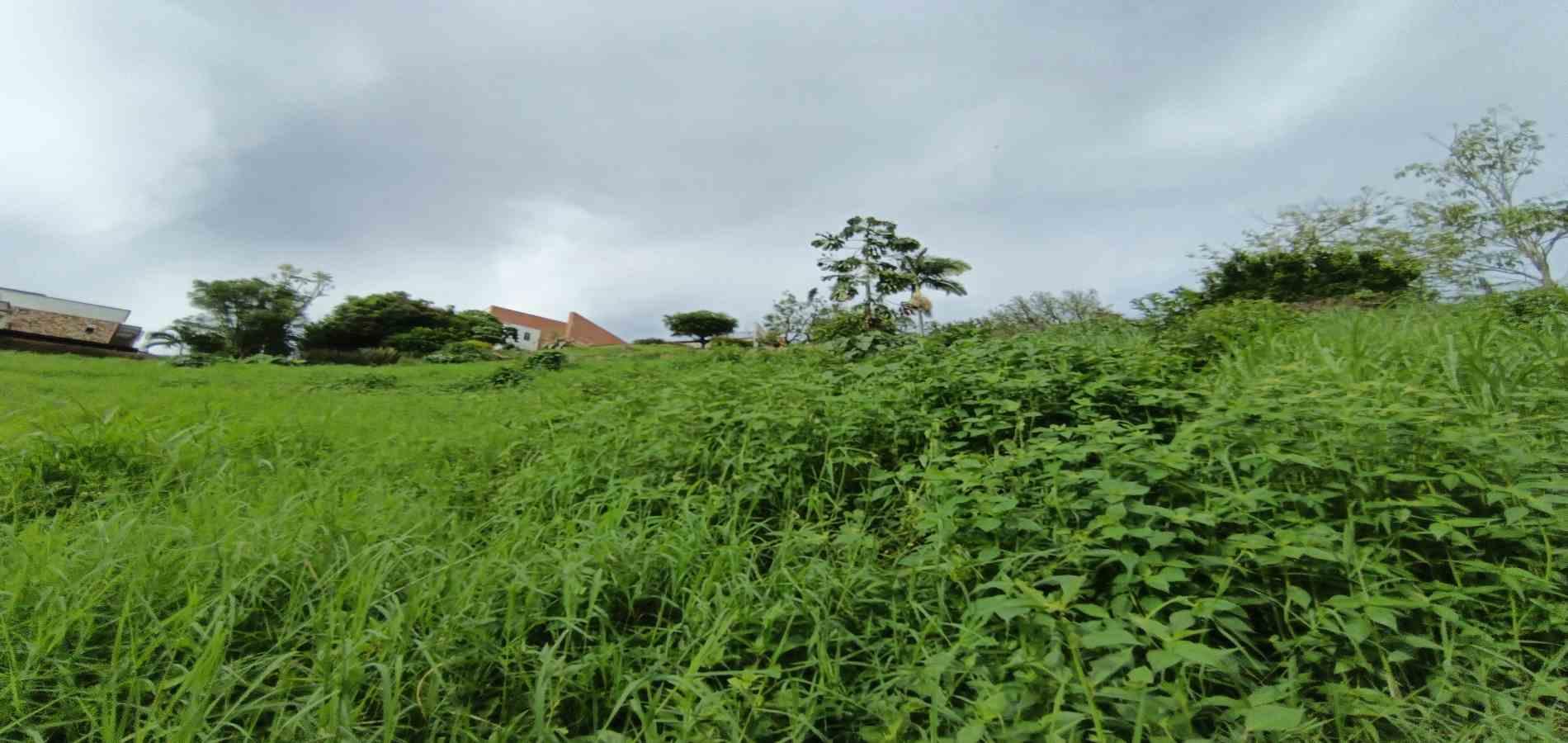 Foto de Lote / terreno en Venta en San bernardo del viento , Manizales - 12 - 279068029