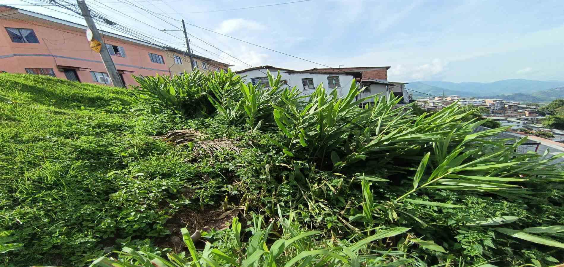 Foto de Lote / terreno en Venta en Campo amor, Manizales - 10 - 279067419