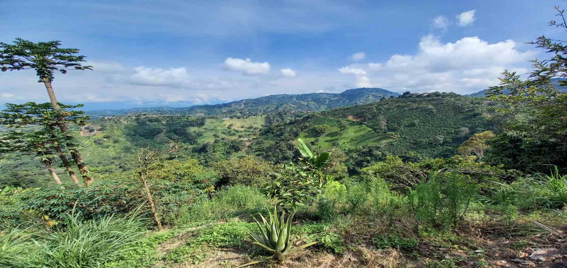 Foto de Finca en Venta en La aurora, Manizales - 7 - 279062192