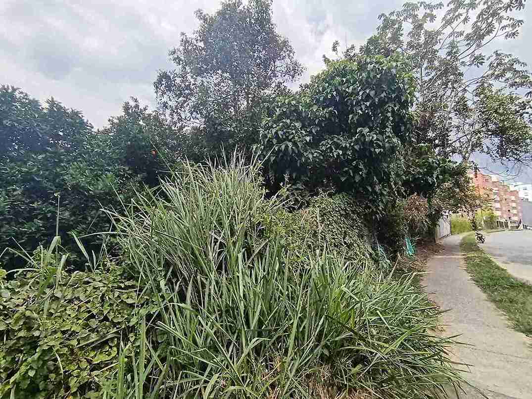 Foto de Lote / terreno en Venta en Avenida 19 norte, Armenia  - 8 - 279058970