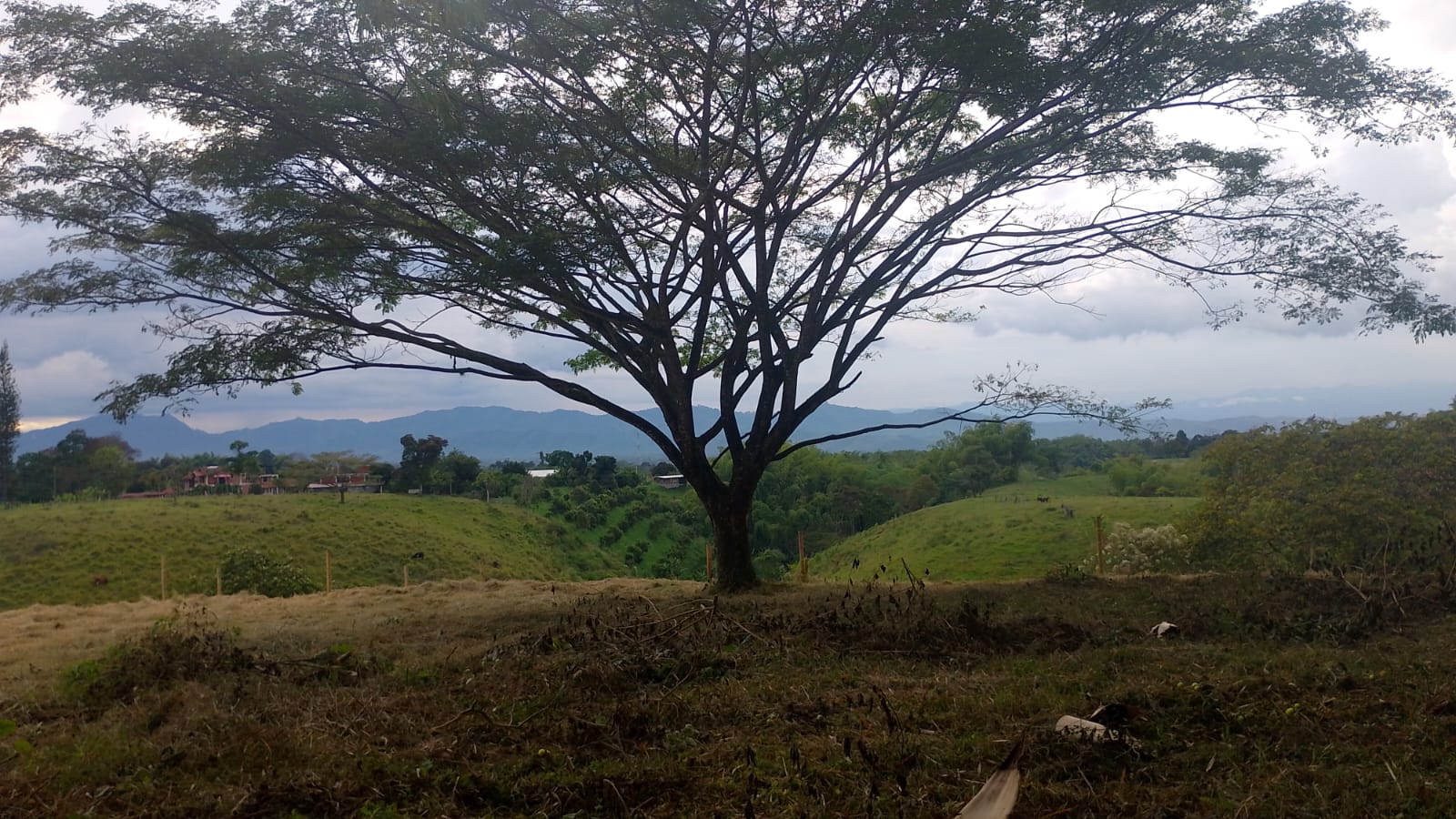 Foto de Lote / terreno en Venta en Filandia, Filandia - 23 - 279066842