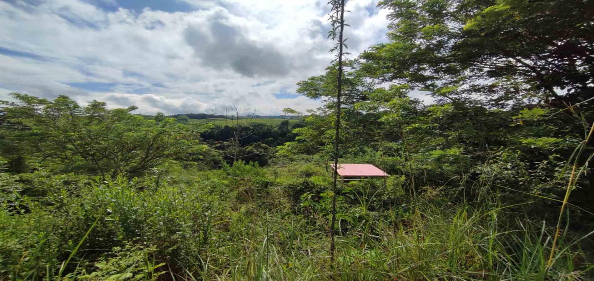 Foto de Lote / terreno en Venta en Cerritos, Pereira - 10 - 279063220