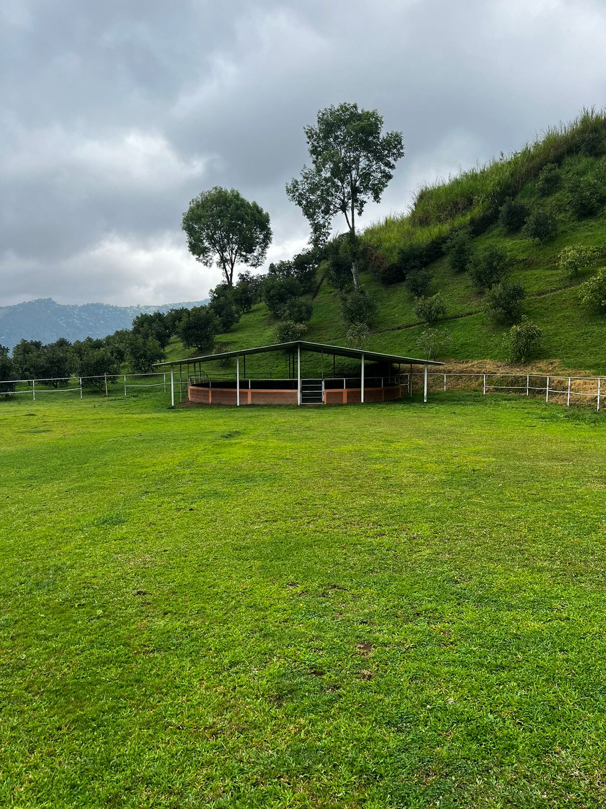 Foto de Finca en Venta en La florida, Pereira - 13 - 279058759