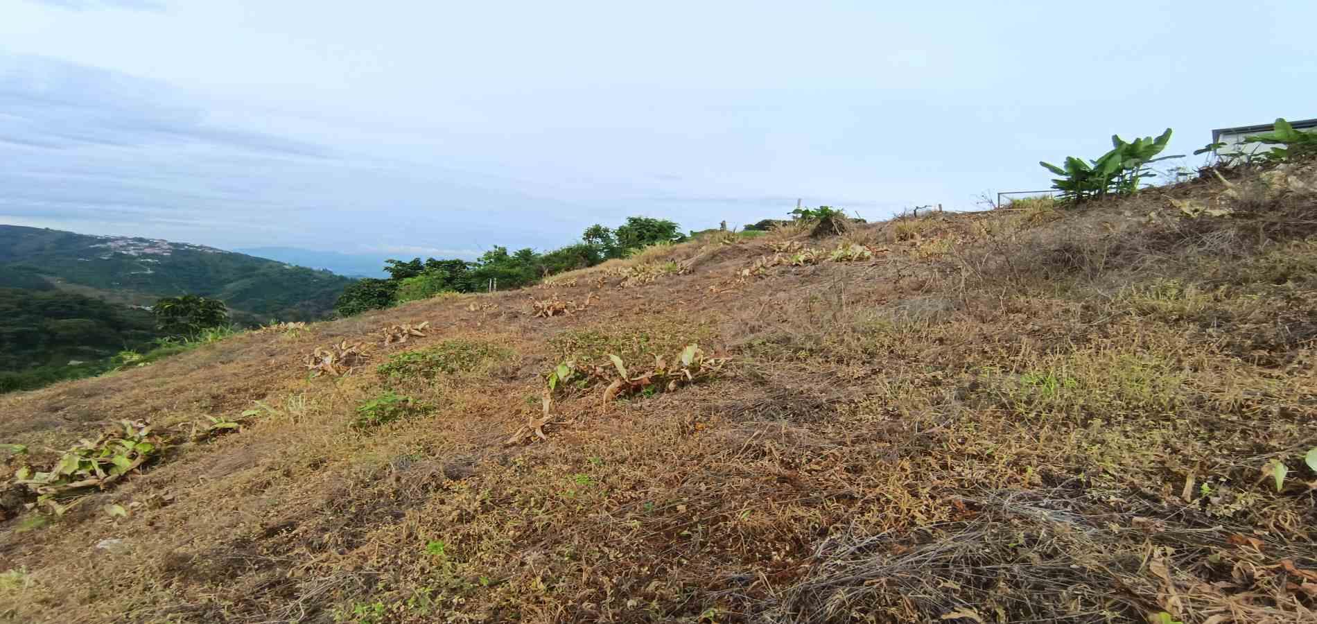 Foto de Lote / terreno en Arriendo en La linda, Manizales - 18 - 279069062