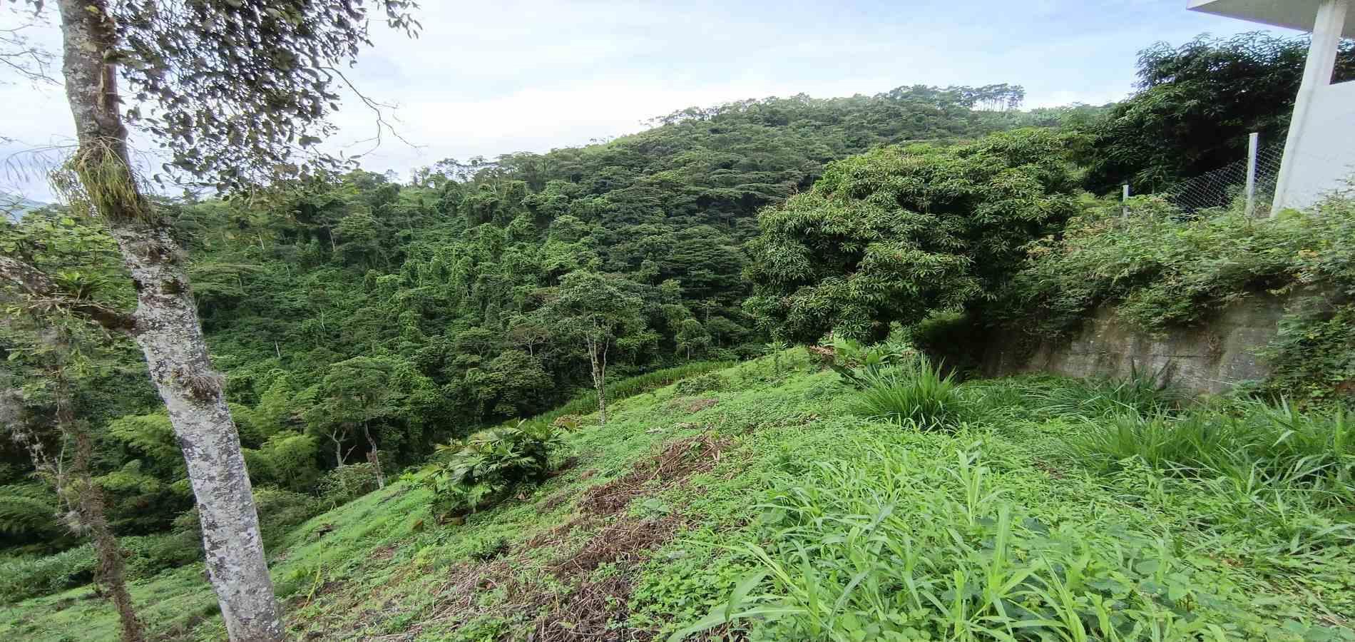 Foto de Lote / terreno en Venta en Vereda minitas , Manizales - 15 - 279068548