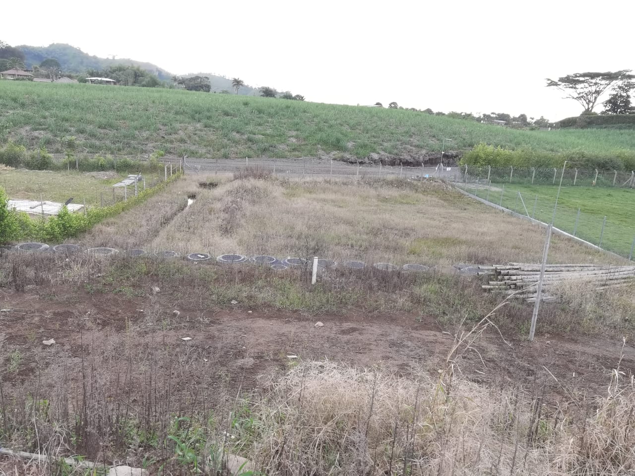 Foto de Lote / terreno en Venta en Combia, Pereira - 11 - 279053691