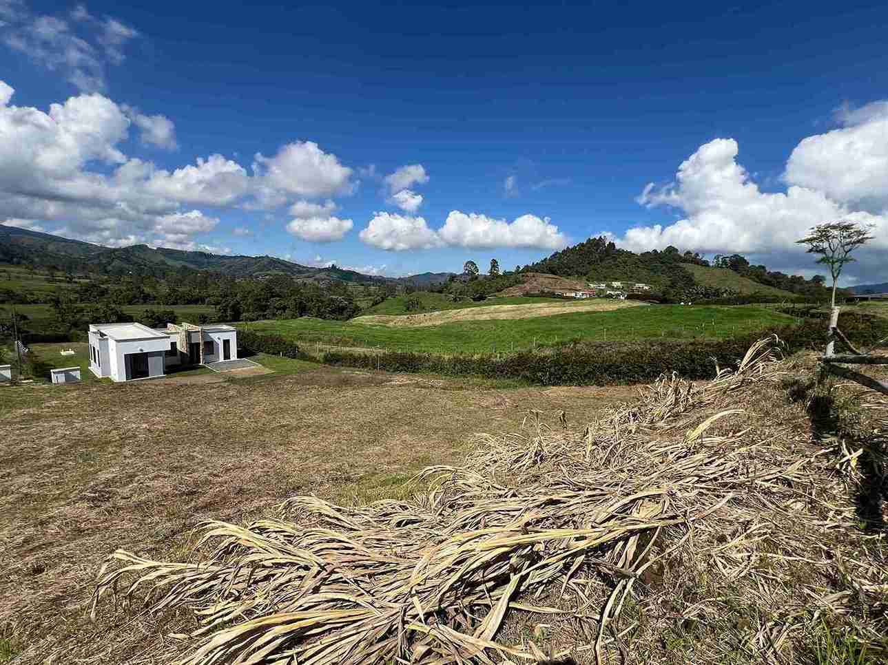 Foto de Lote / terreno en Venta en Colombia i, Santa rosa de cabal - 9 - 279057954