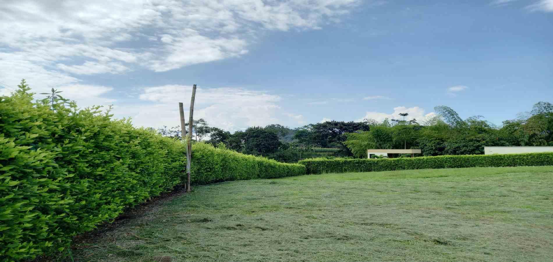 Foto de Lote / terreno en Venta en Cerritos, Pereira - 5 - 279064711