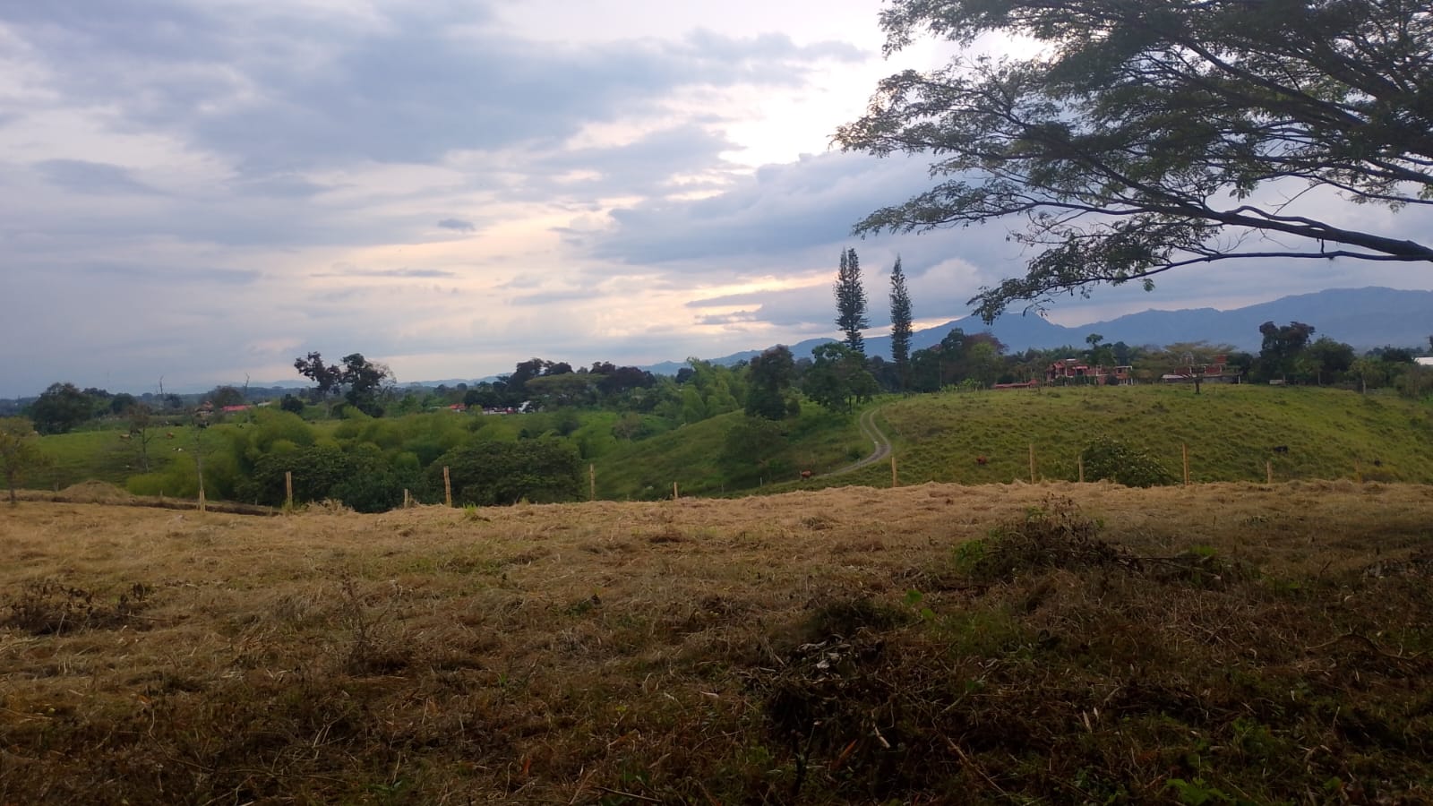 Foto de Lote / terreno en Venta en Armenia, Armenia  - 2 - 279067125