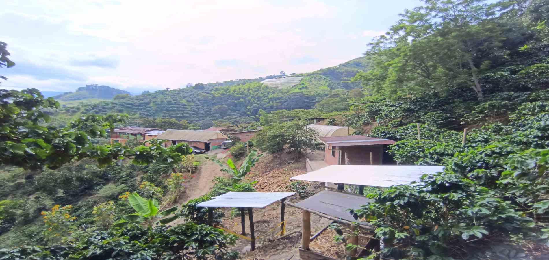 Foto de Finca en Venta en Vereda la palma , Manizales - 6 - 279069356