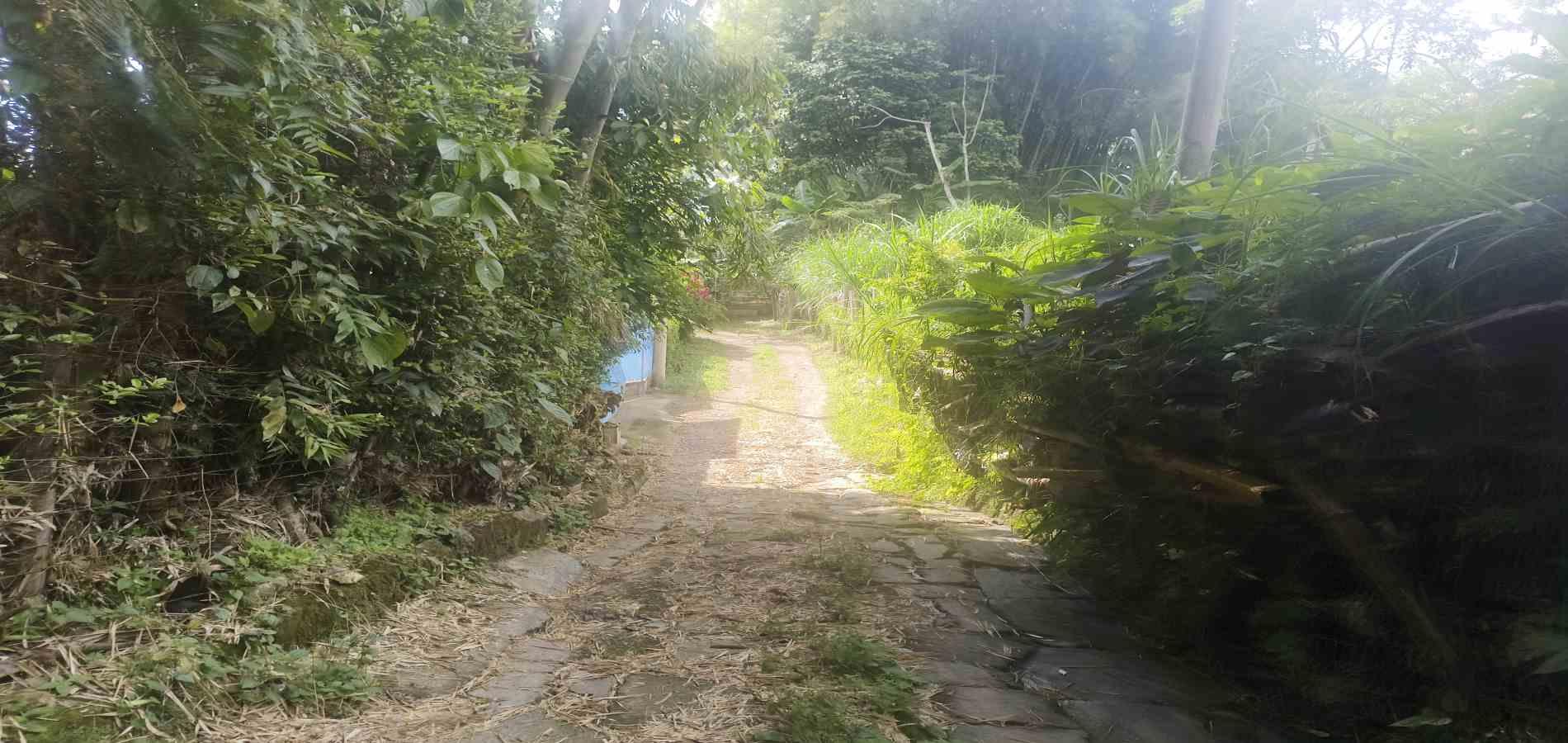Foto de Casa en Venta en Vereda la cristalina, Circasia - 25 - 279068219
