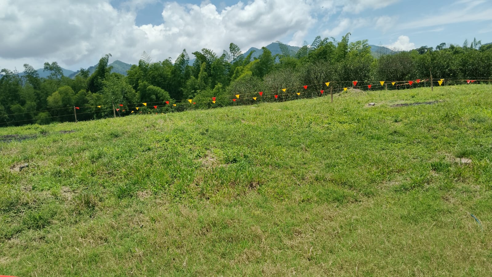 Foto de Lote / terreno en Venta en Anserma, Anserma - 8 - 279069118