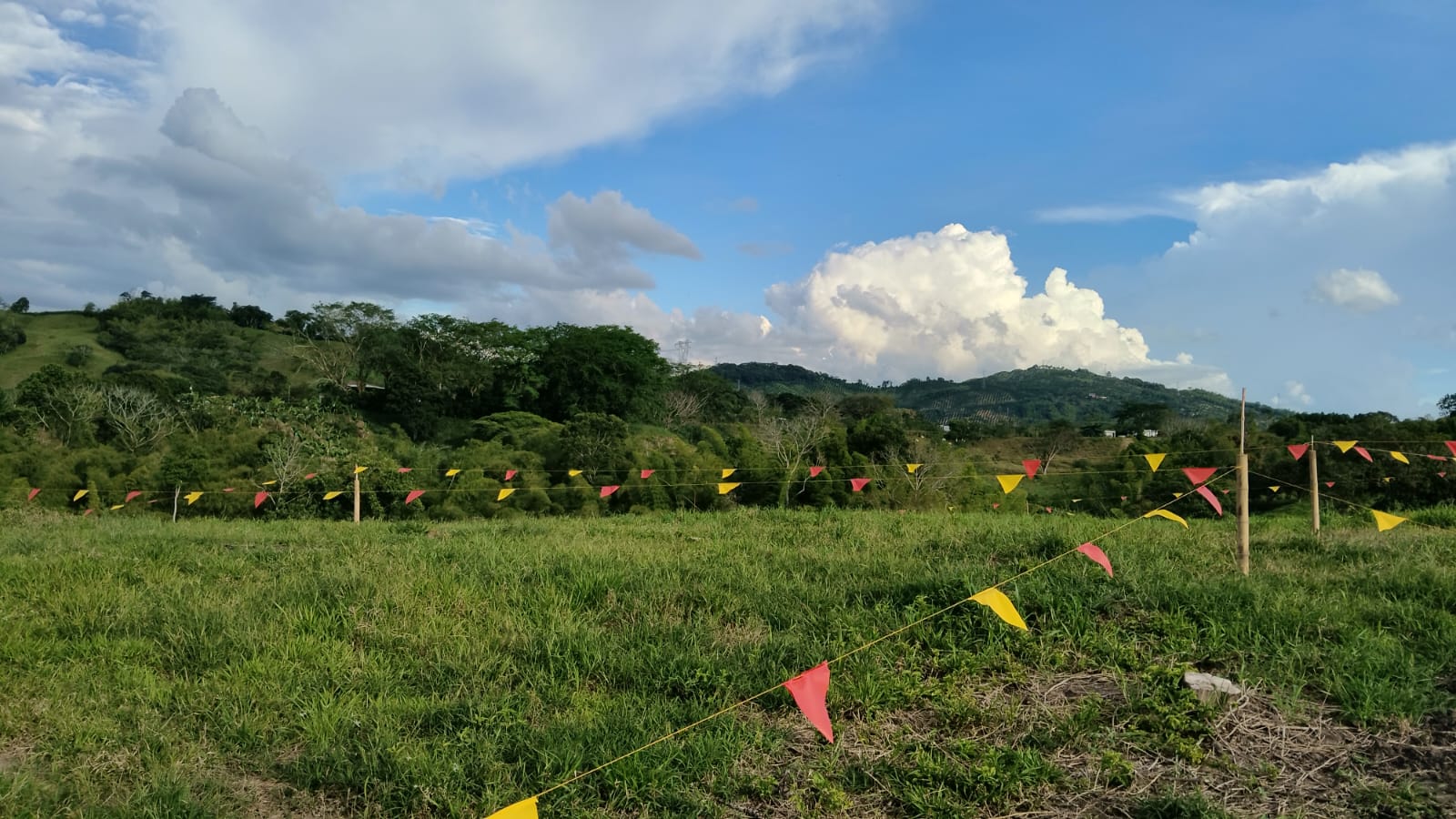 Foto de Lote / terreno en Venta en Anserma, Anserma - 2 - 279069118