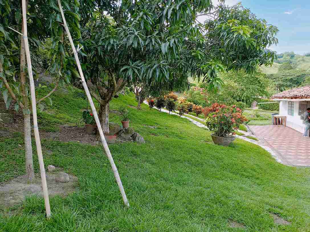 Foto de Casa campestre en Venta en Kilometro 41, Manizales - 1 - 279057741