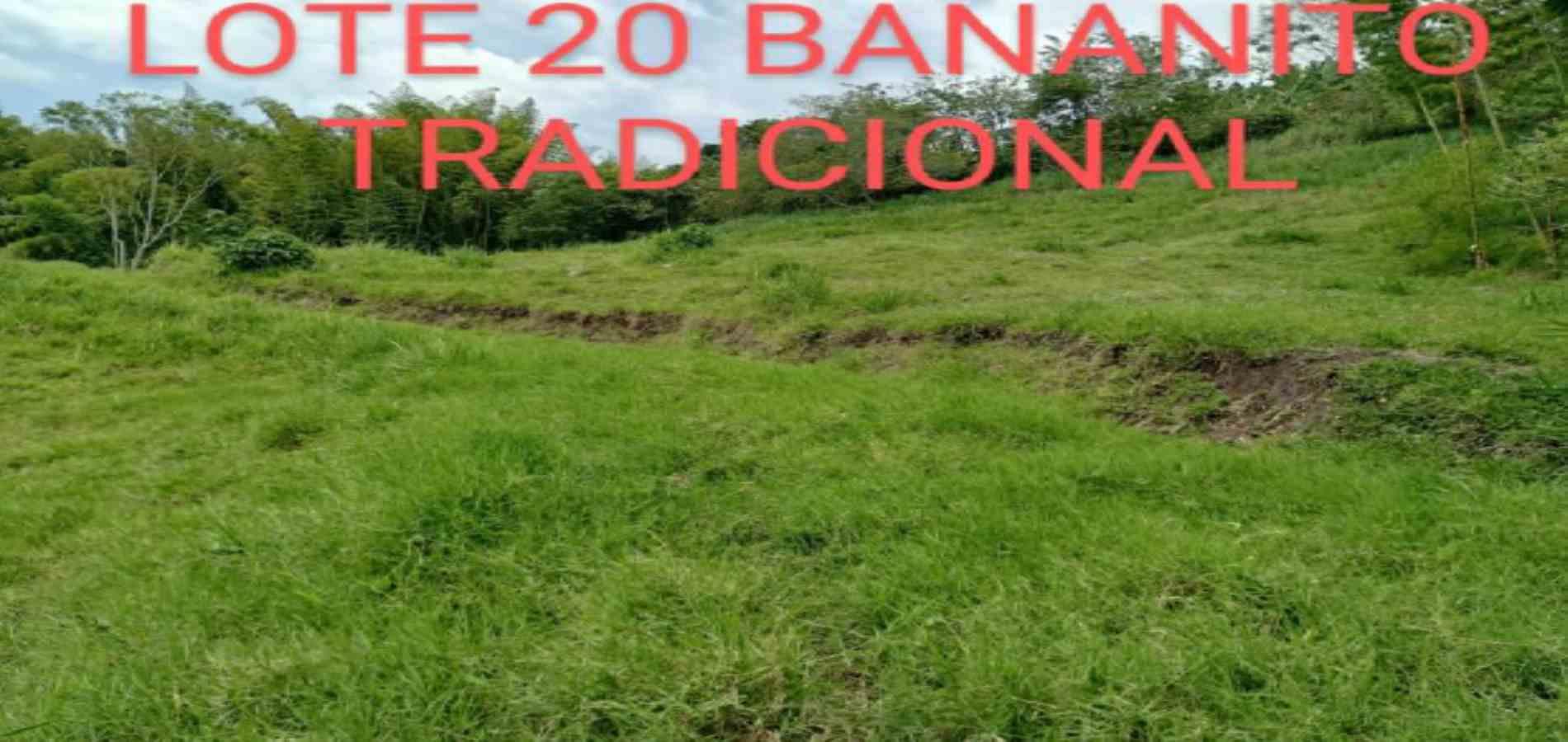 Foto de Lote / terreno en Venta en Vereda armenia , Neira - 14 - 279026013