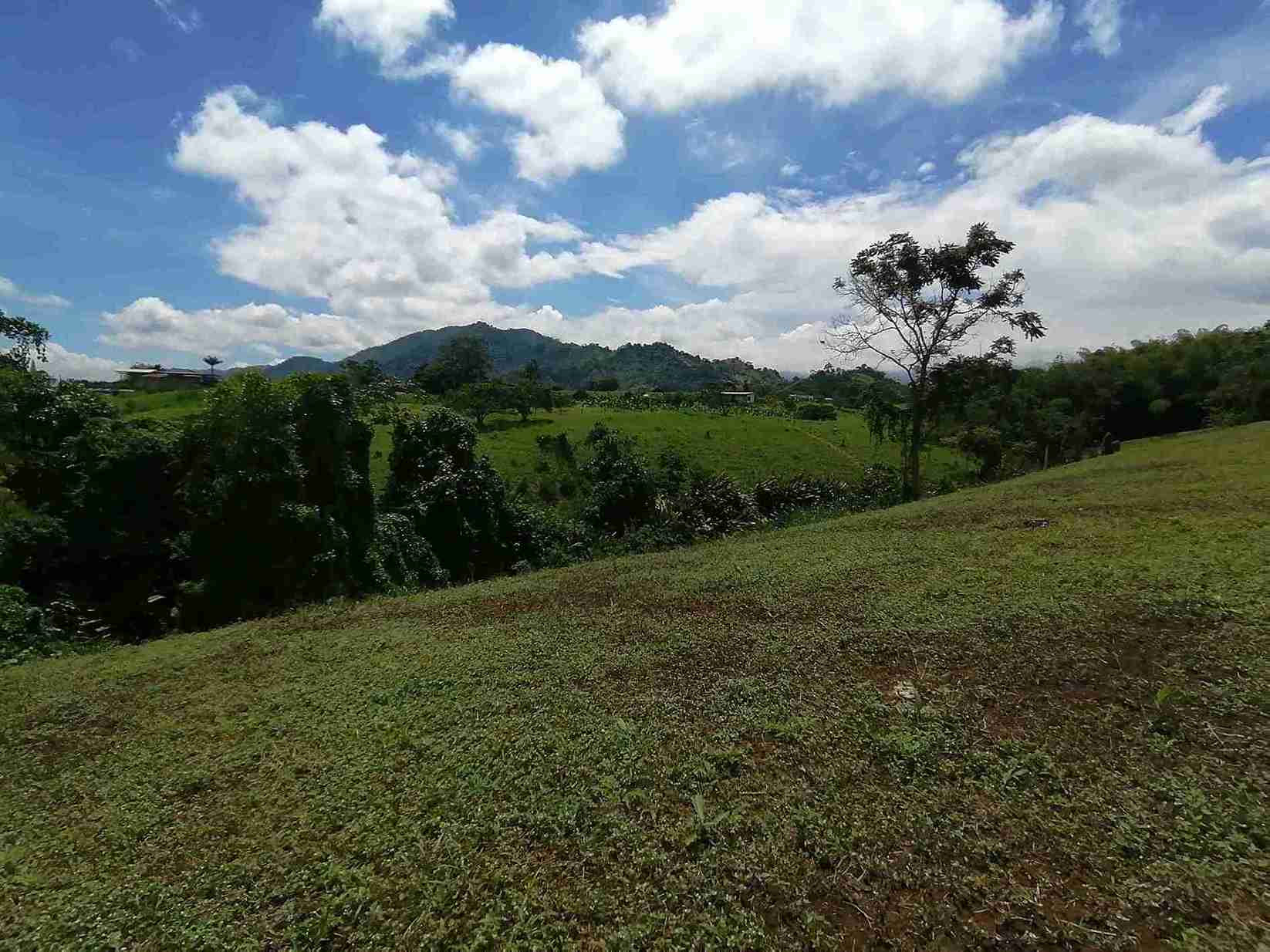 Foto de Lote / terreno en Venta en Combia, Pereira - 6 - 279060927