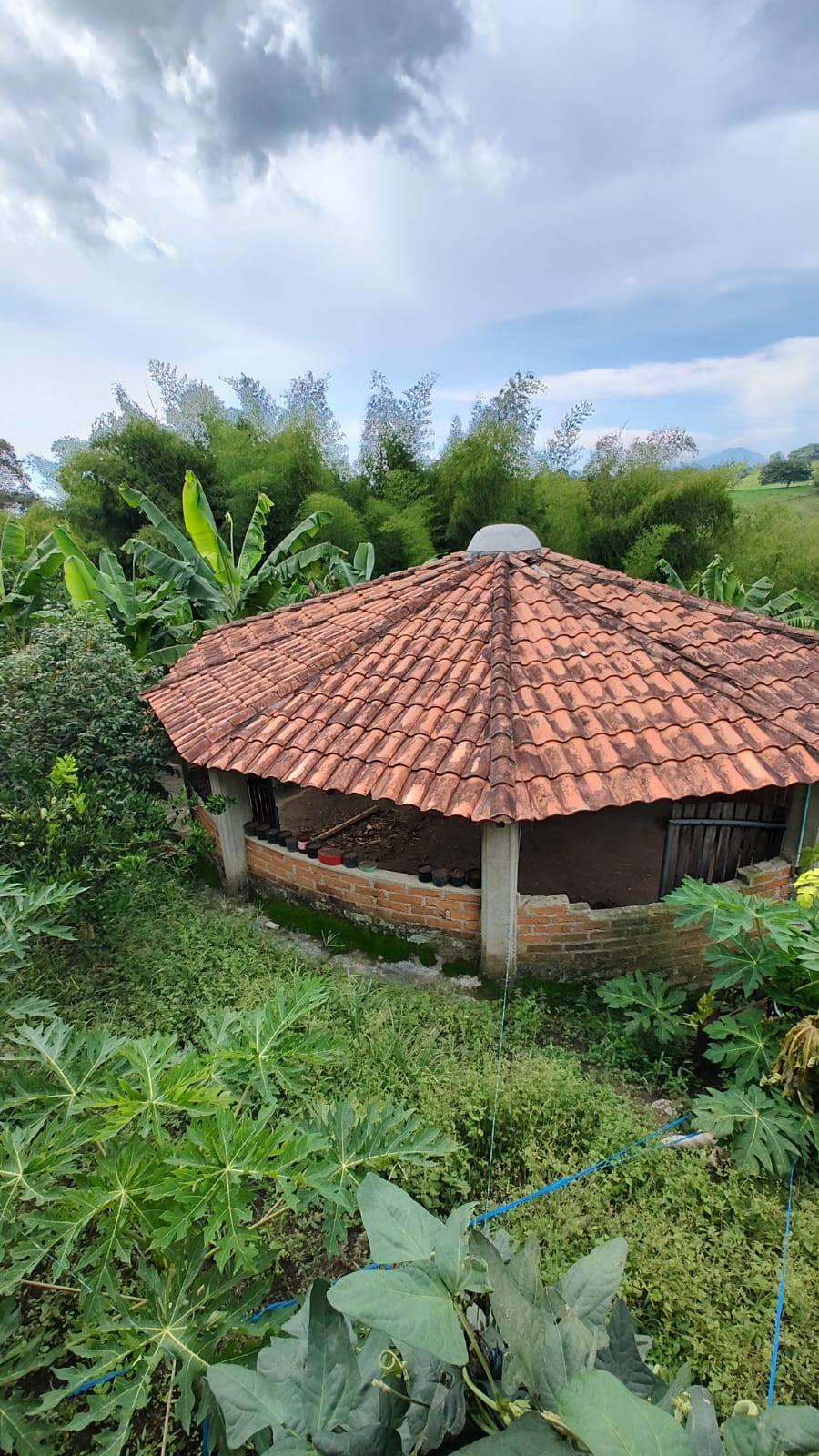 Foto de Finca en Venta en Via alcala, Armenia  - 8 - 279059945