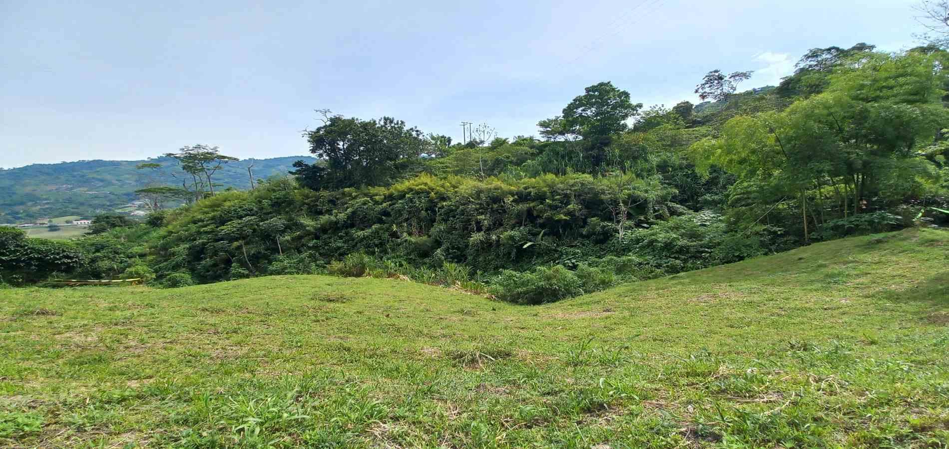 Foto de Lote / terreno en Venta en Combia, Pereira - 8 - 279069588