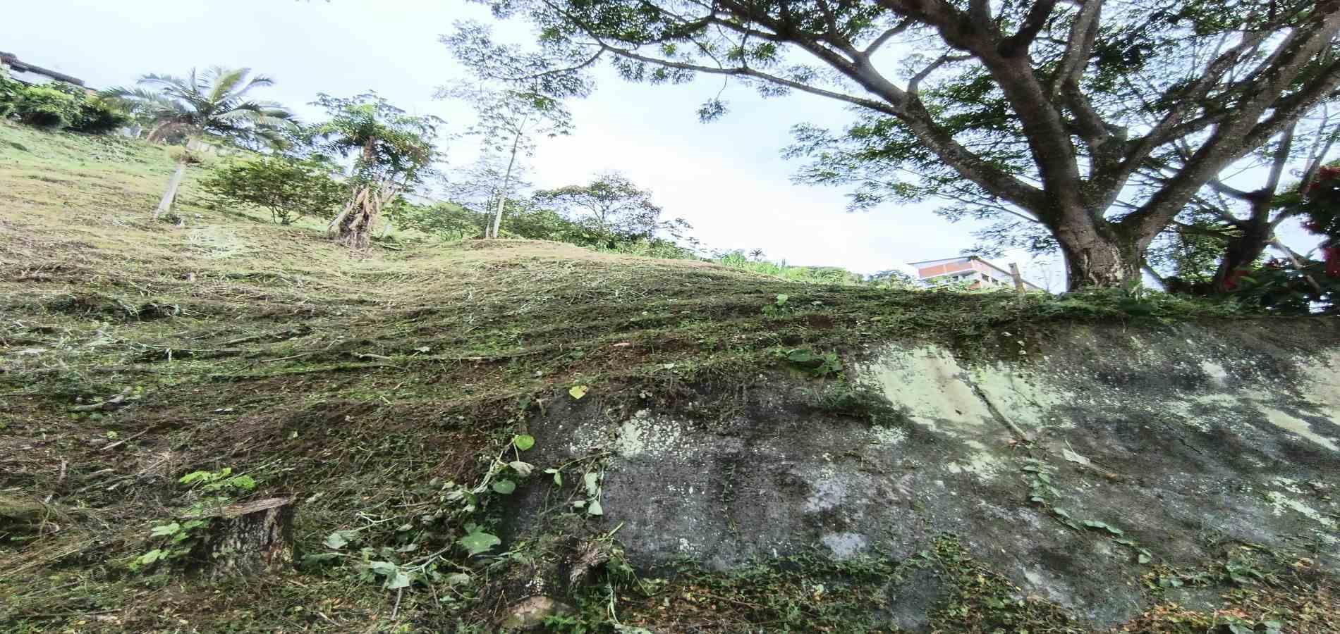 Foto de Lote / terreno para Venta en Vereda la trinidad, Manizales - 279066610