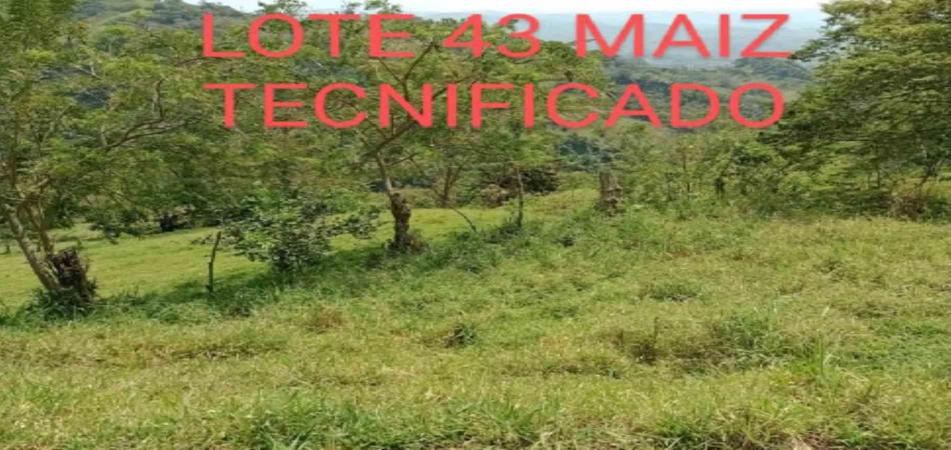 Foto de Lote / terreno en Venta en Vereda armenia , Neira - 5 - 279026013