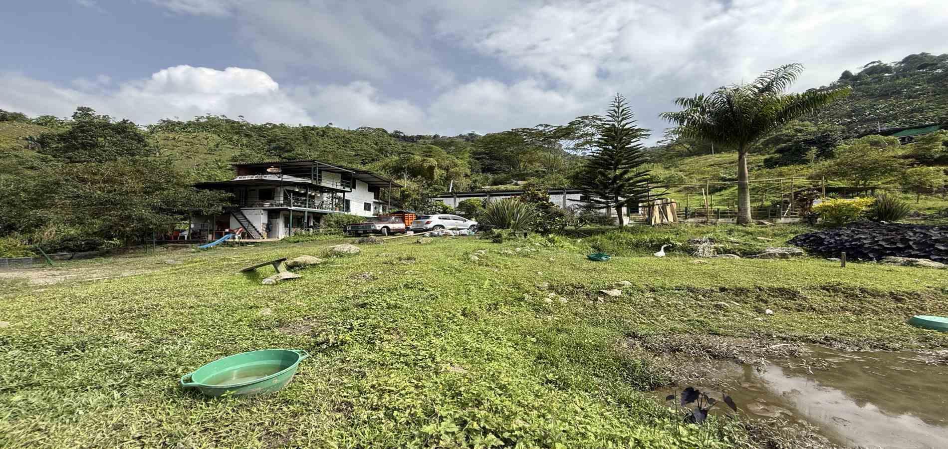 Foto de Finca en Venta en Agua azul, Dosquebradas - 47 - 279063271