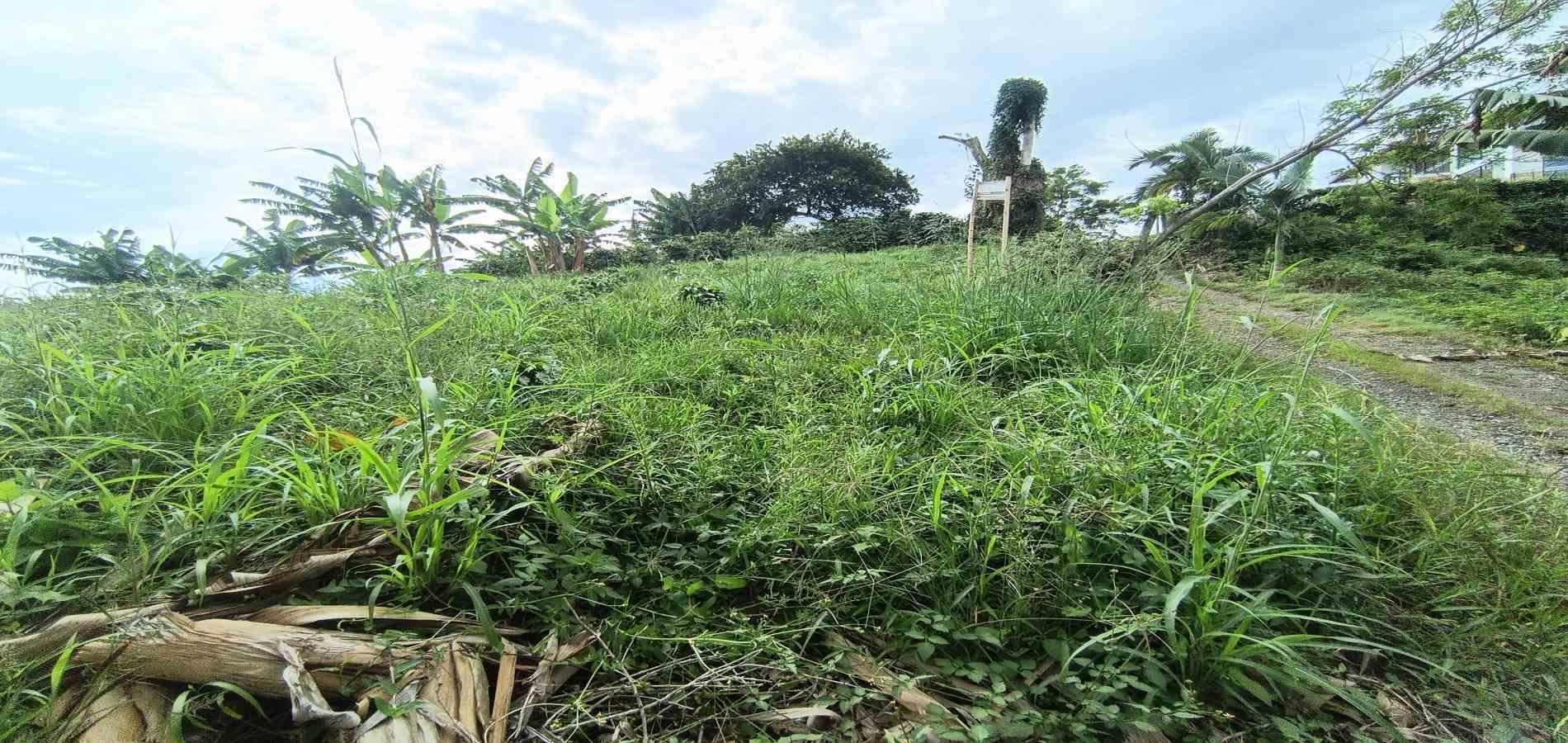 Foto de Lote / terreno en Venta en San peregrino, Manizales - 25 - 279068552