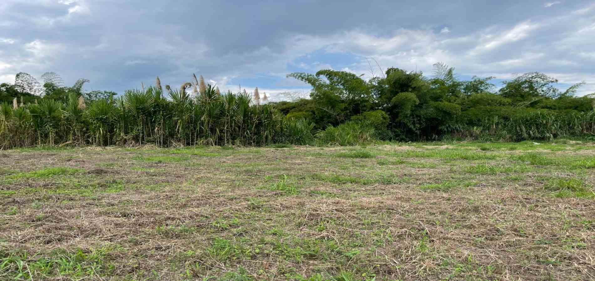 Foto de Lote / terreno en Venta en Av. la romelia el pollo, Dosquebradas - 12 - 279060887