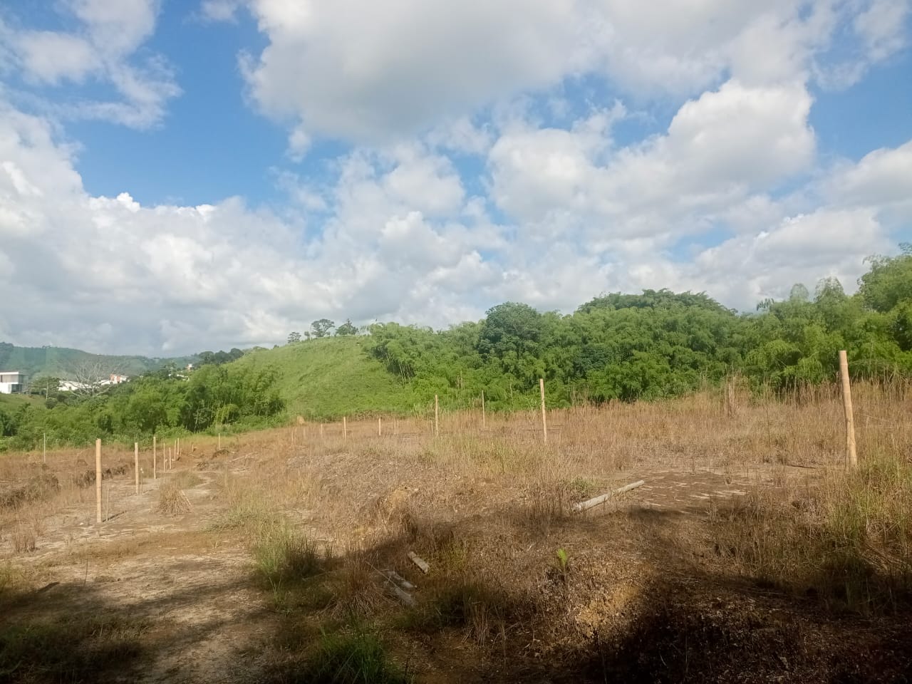 Foto de Lote / terreno en Venta en Via armenia, Pereira - 5 - 279052343