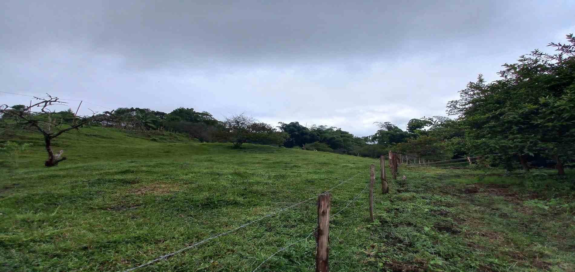 Foto de Lote / terreno en Venta en Veracruz, Santa rosa de cabal - 12 - 279066398
