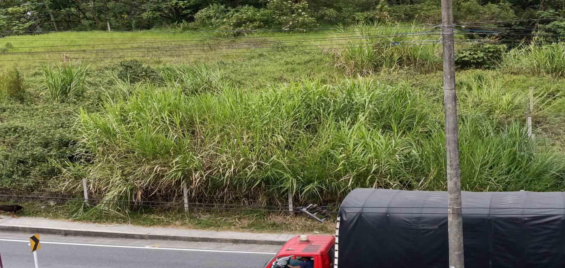Foto de Lote / terreno para Venta en Avenida santander , Manizales - 279069450