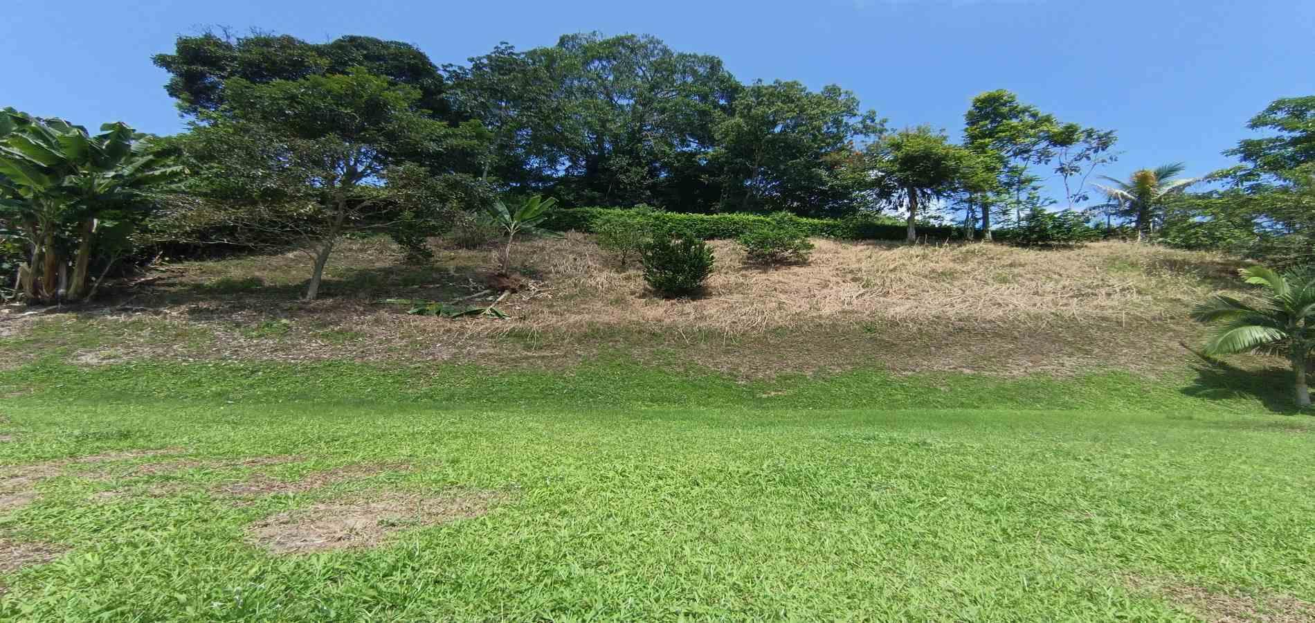 Foto de Lote / terreno en Venta en La plata, Palestina - 20 - 279067174