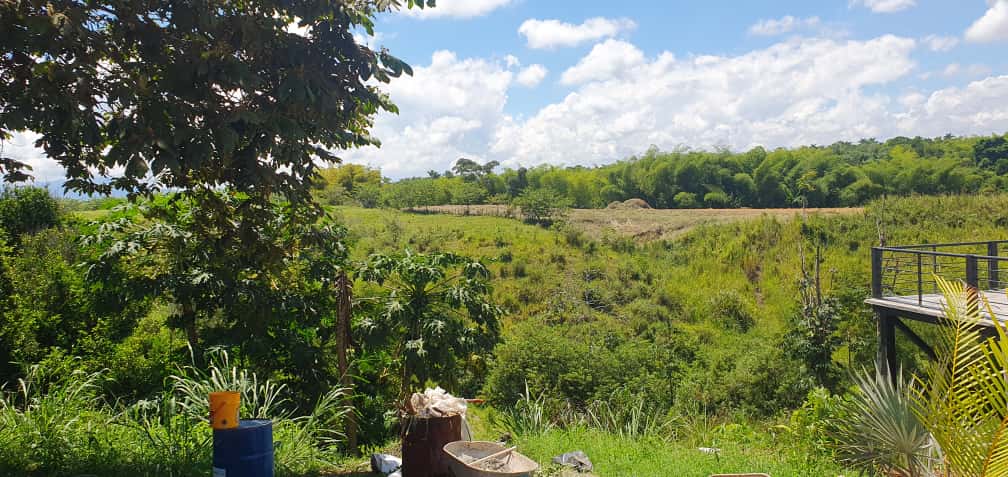 Foto de Lote / terreno en Venta en La virginia, Pereira - 9 - 279065492