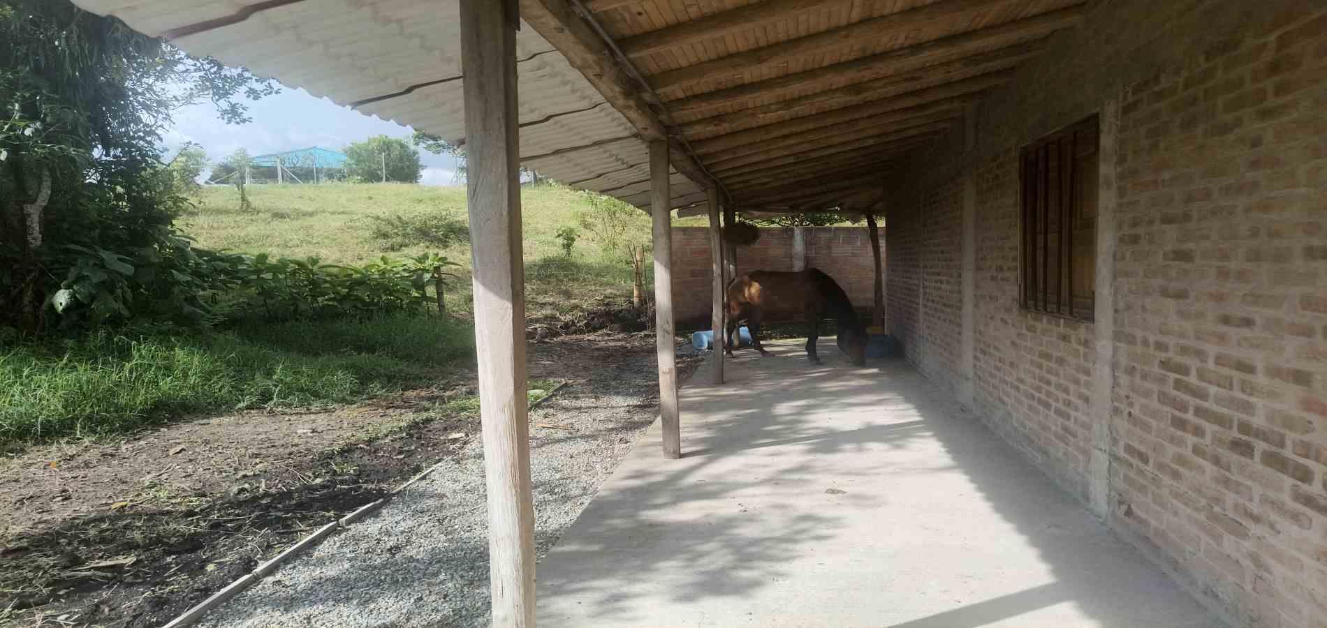 Foto de Casa en Venta en Vereda la cristalina, Circasia - 17 - 279068219