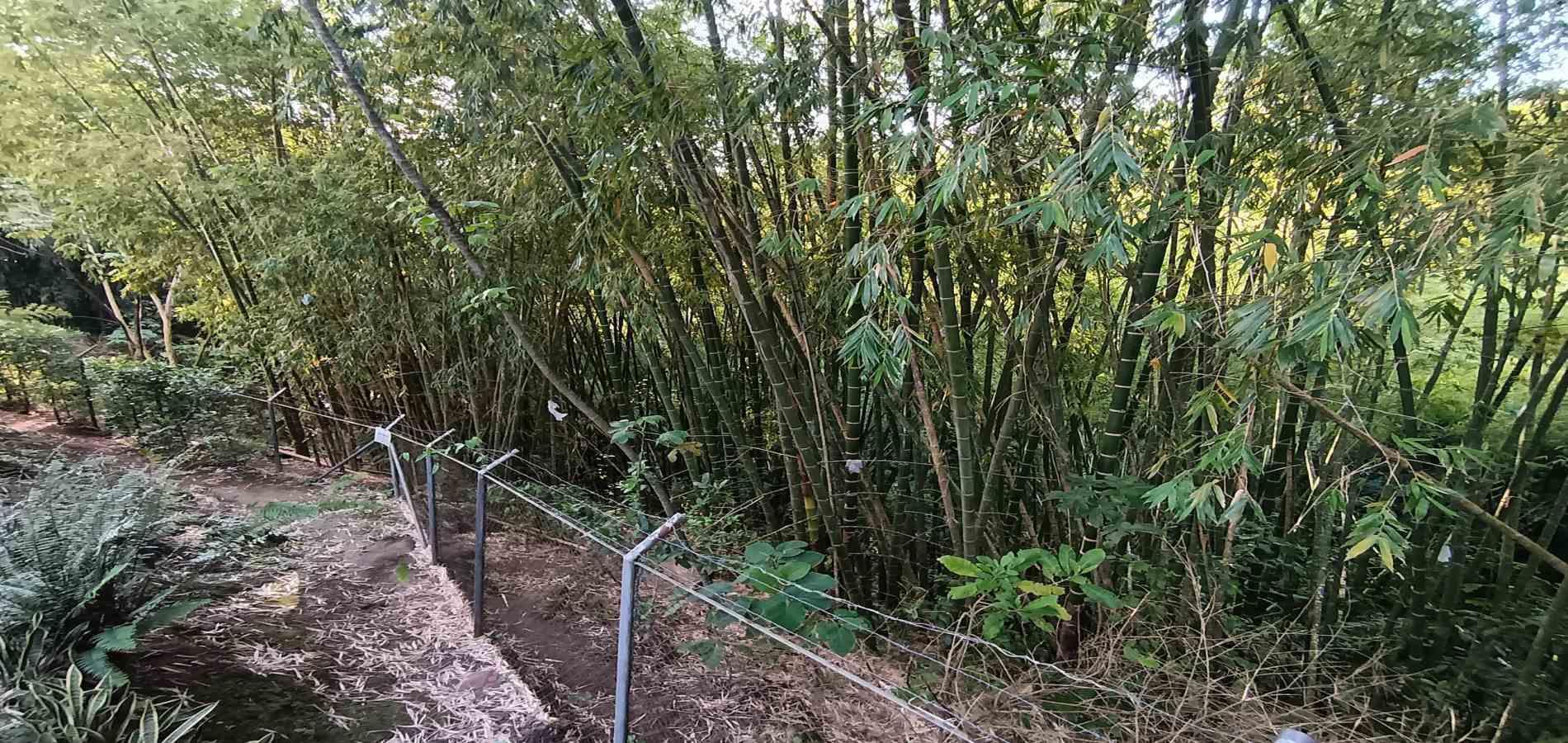 Foto de Edificio en Arriendo en Centro, Armenia  - 1 - 279064128