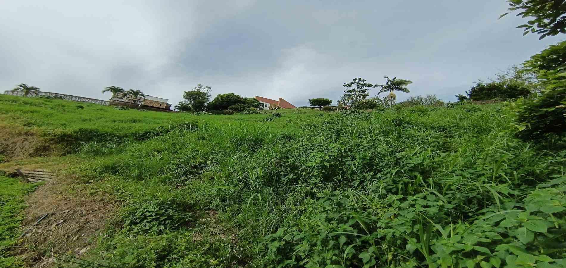 Foto de Lote / terreno en Venta en San bernardo del viento , Manizales - 2 - 279068029