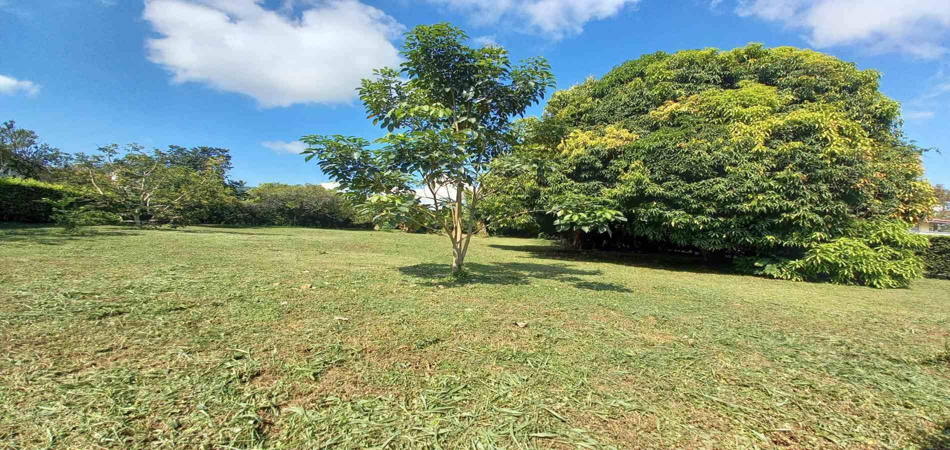 Foto de Lote / terreno en Venta en Vereda santagueda, Palestina - 20 - 279060420