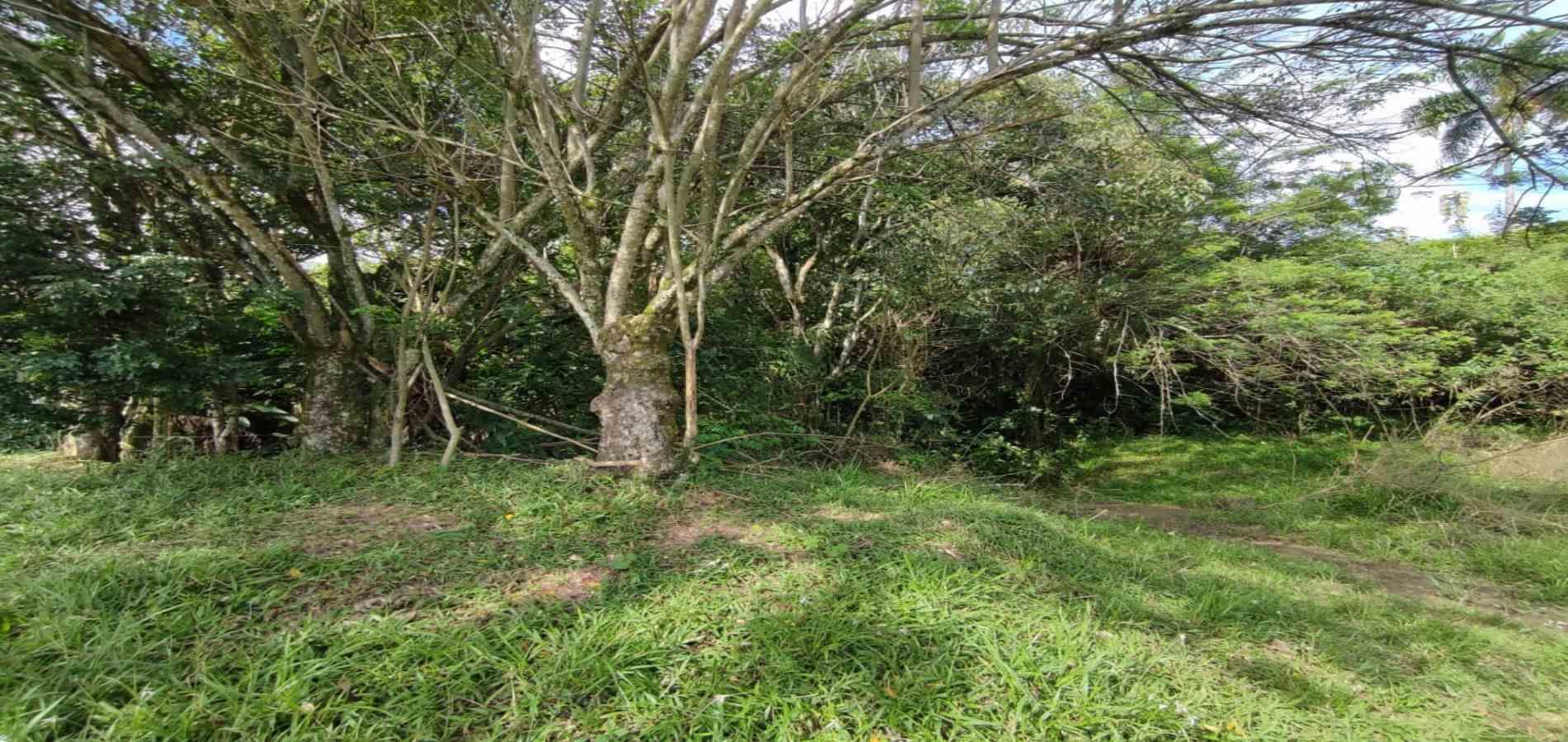 Foto de Lote / terreno en Venta en Centro, Pereira - 9 - 279063216