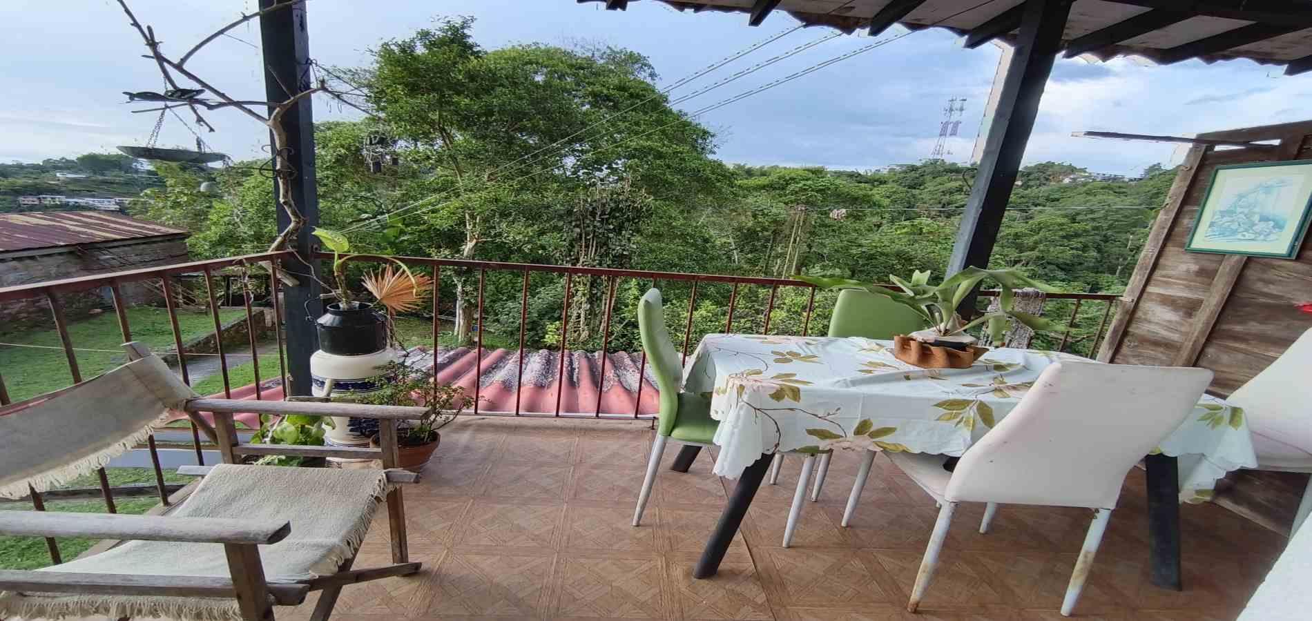 Foto de Finca en Venta en Cuchilla de los santa, Manizales - 8 - 279064273