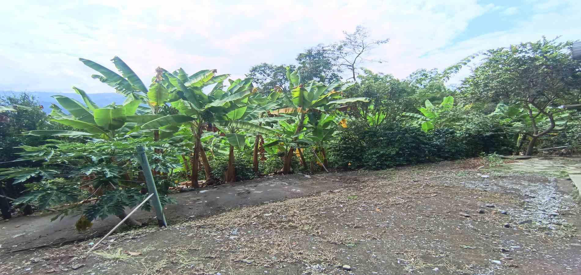 Foto de Casa en Venta en San peregrino, Manizales - 9 - 279070004
