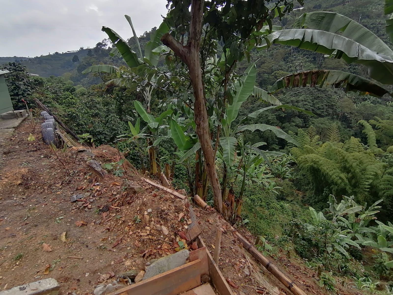Foto de Finca en Venta en Maracas, Neira - 2 - 279063622