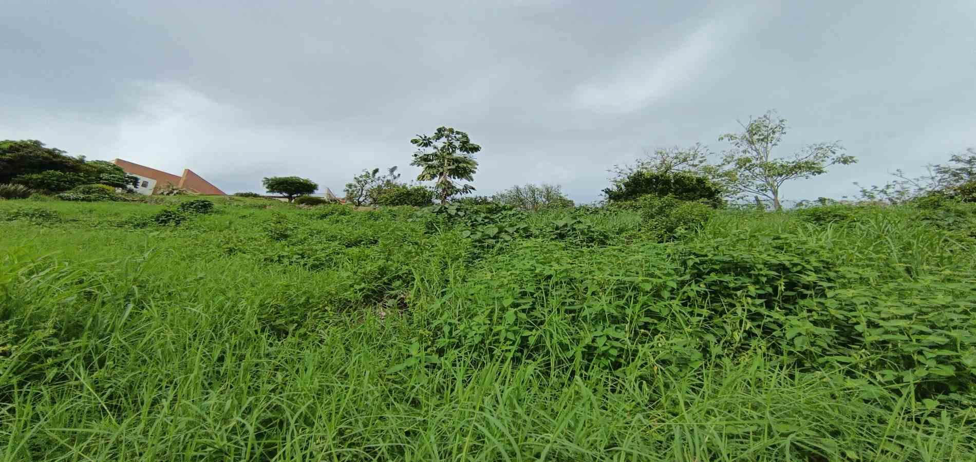 Foto de Lote / terreno en Venta en San bernardo del viento , Manizales - 20 - 279068029