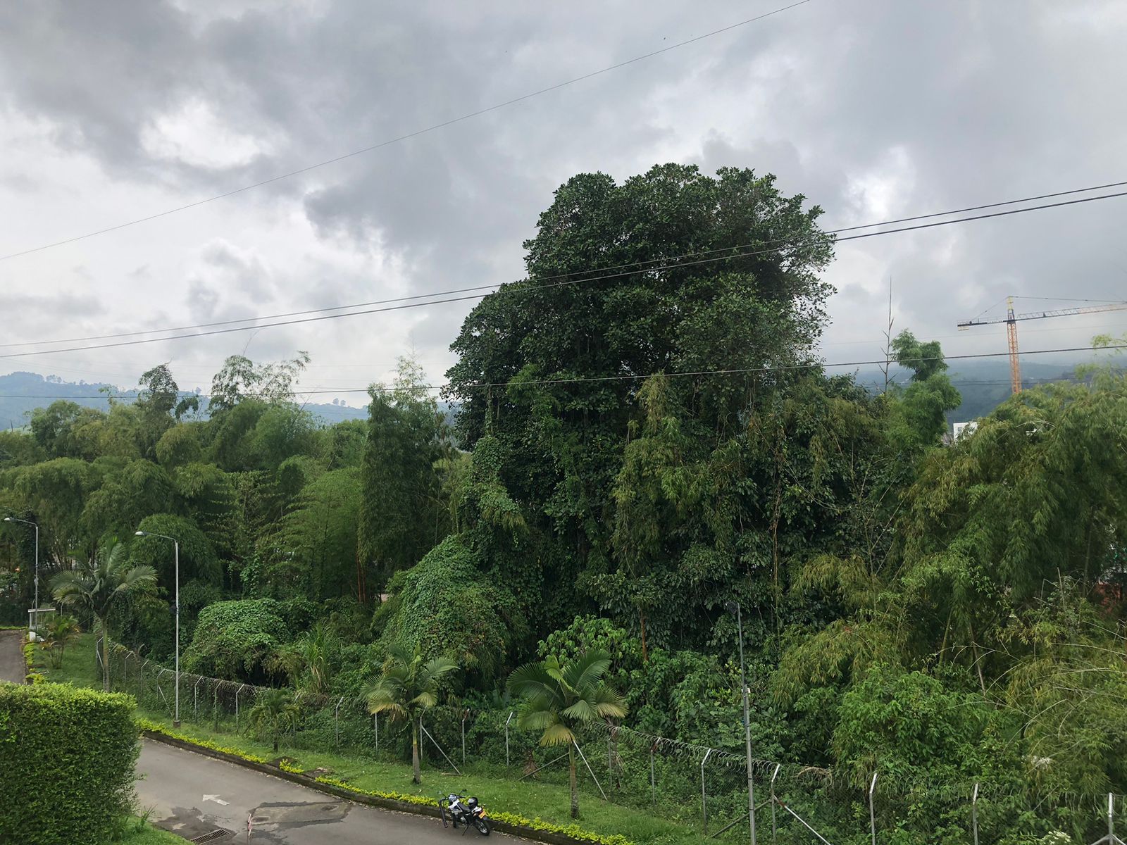 Foto de Lote / terreno en Venta en Av. la romelia el pollo, Dosquebradas - 5 - 279025660