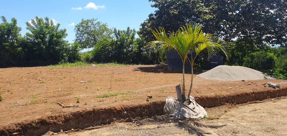 Foto de Lote / terreno en Venta en La virginia, Pereira - 11 - 279065492