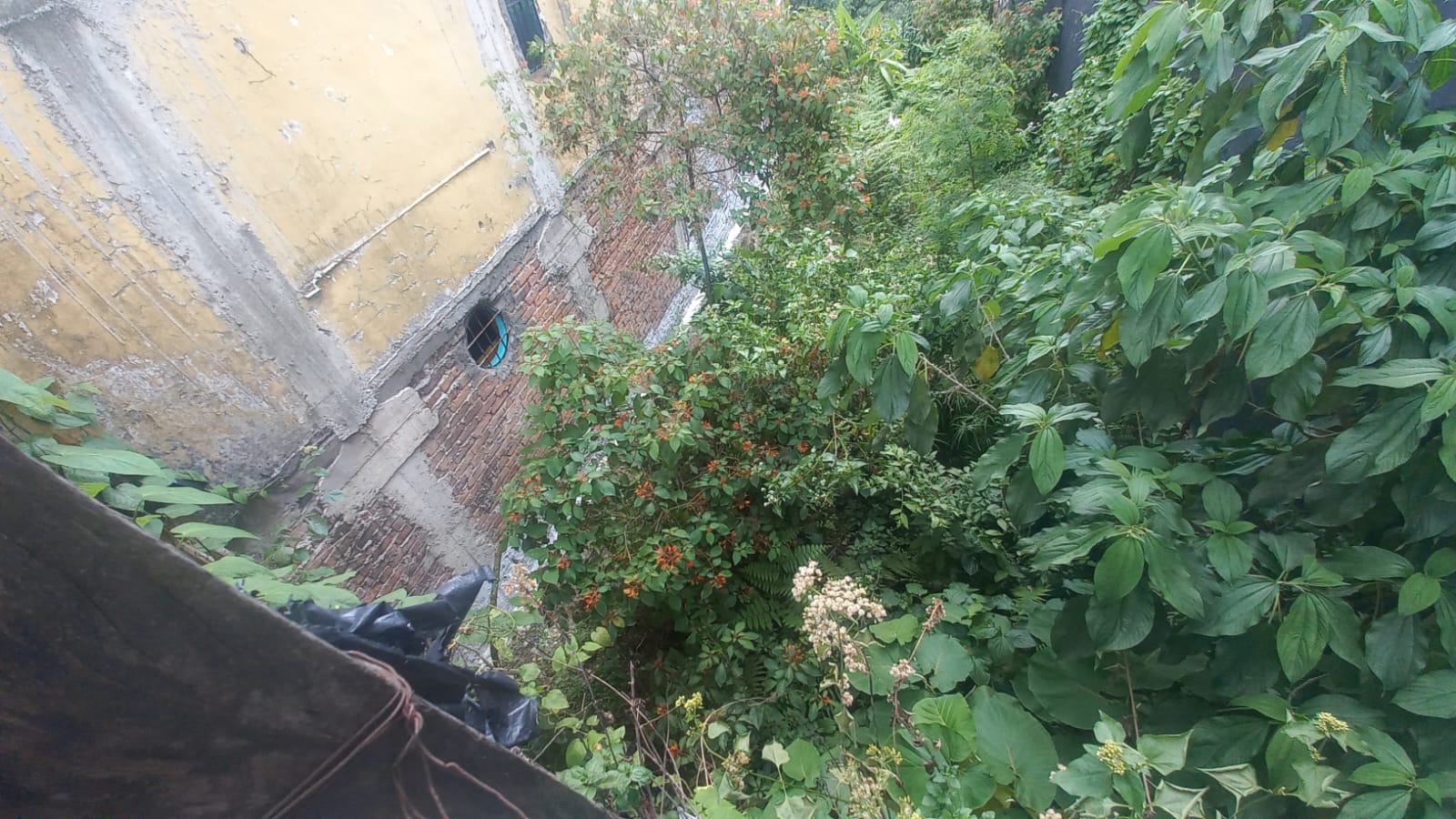 Foto de Lote / terreno en Venta en Fundadores, Armenia  - 11 - 279056606