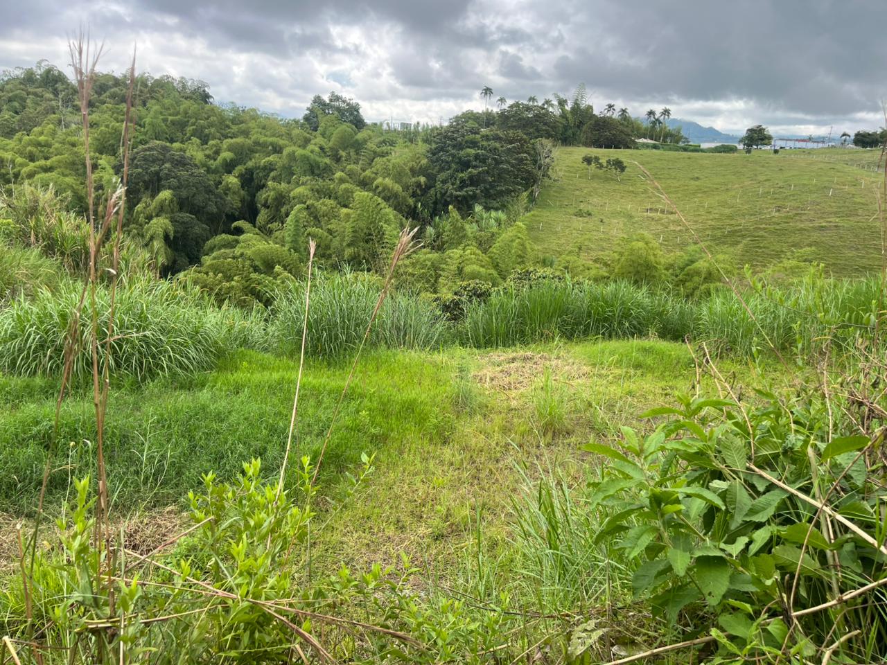 Foto de Lote / terreno en Venta en Via armenia, Pereira - 1 - 279063098