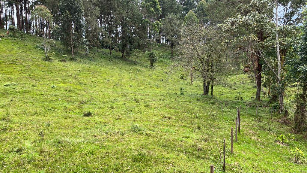 Foto de Lote / terreno en Venta en Via armenia, Pereira - 13 - 279066674