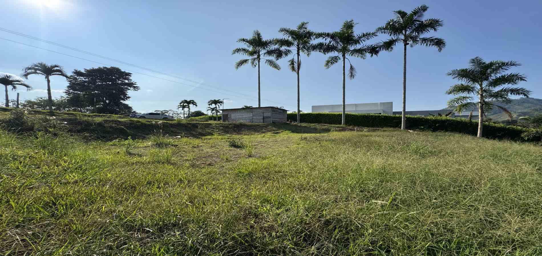 Foto de Lote / terreno en Venta en Combia, Pereira - 8 - 279060485