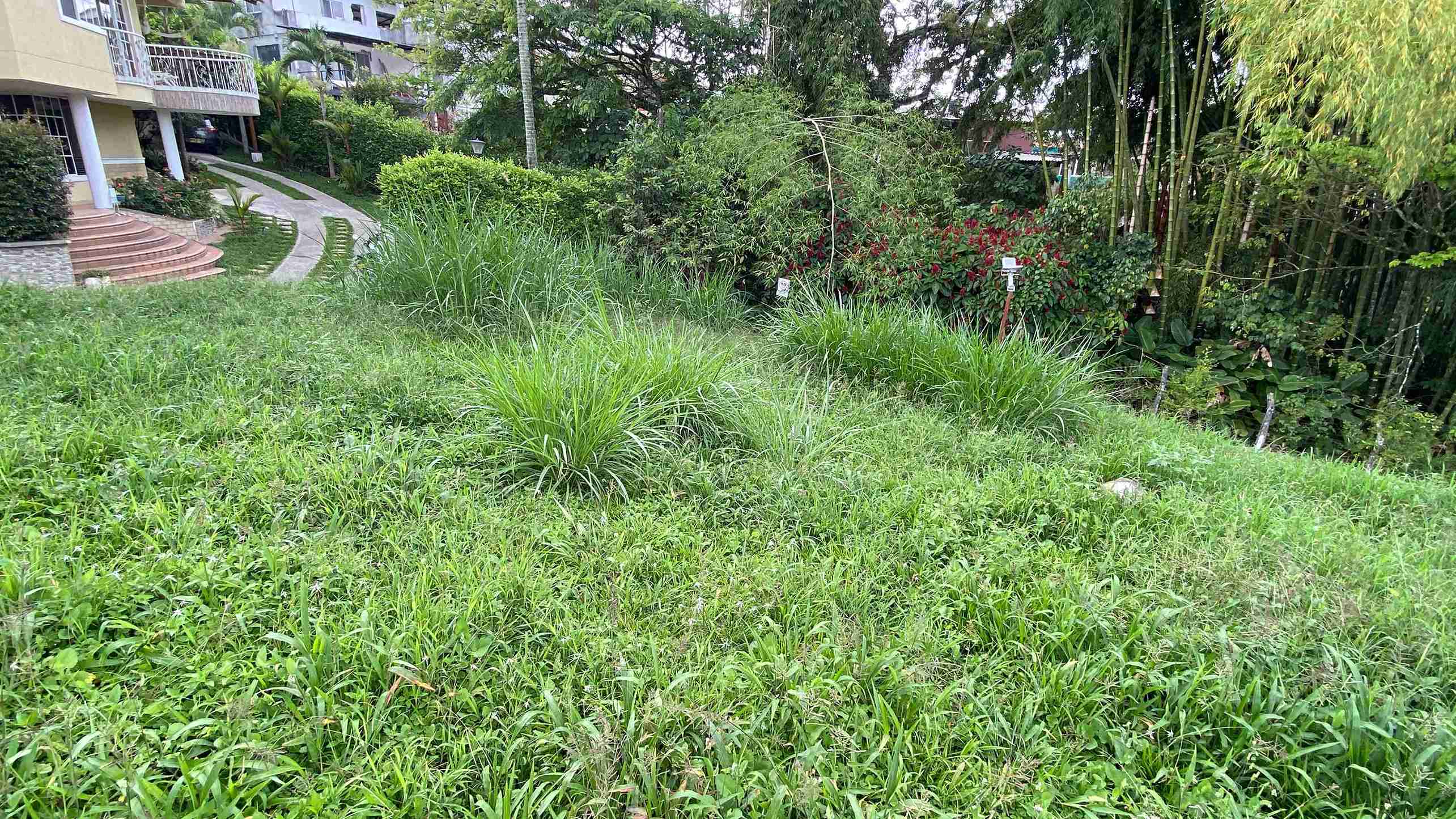 Foto de Lote / terreno para Venta en Comuna 5/la pradera, Dosquebradas - 279056601