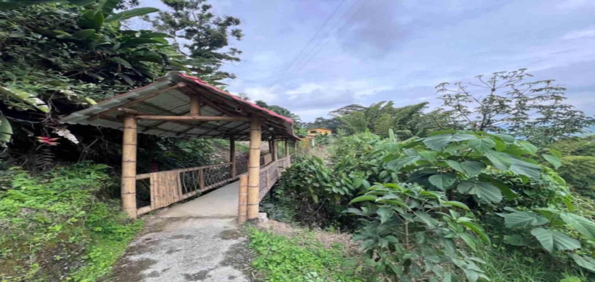 Foto de Edificio en Venta en La linda, Manizales - 20 - 279062924