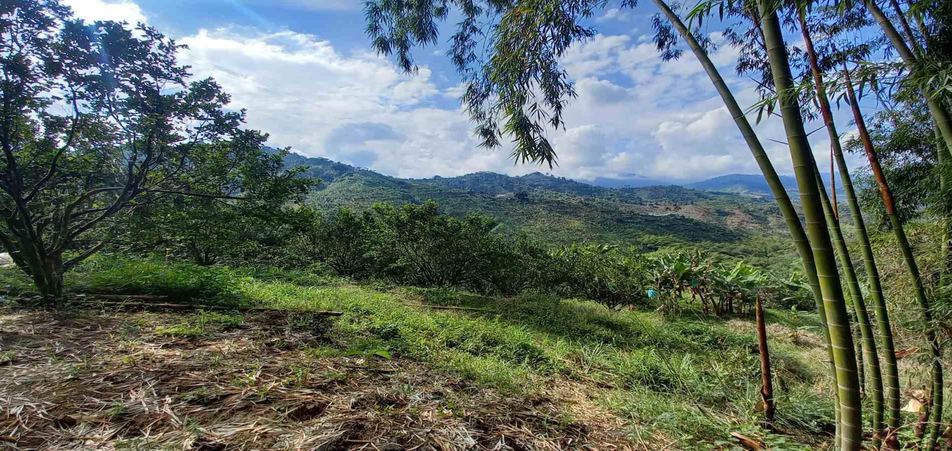 Foto de Finca en Venta en San peregrino, Manizales - 21 - 279061656